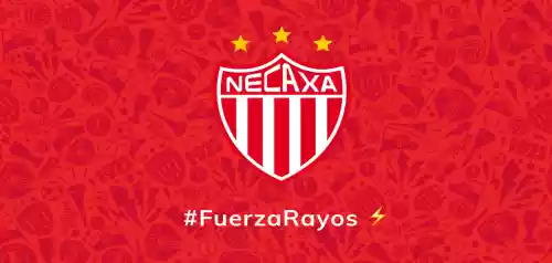 vectores plantilas FUTBOL,